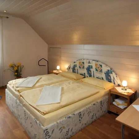 Waldau 招待所 卡塞尔